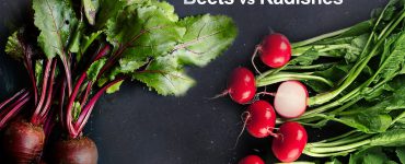 beets vs radishes