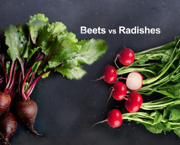 beets vs radishes