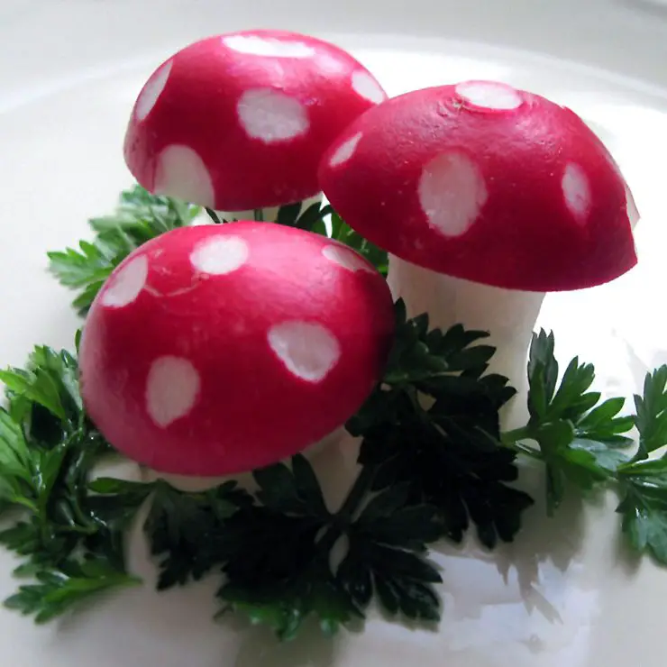 mushroom carved from radish