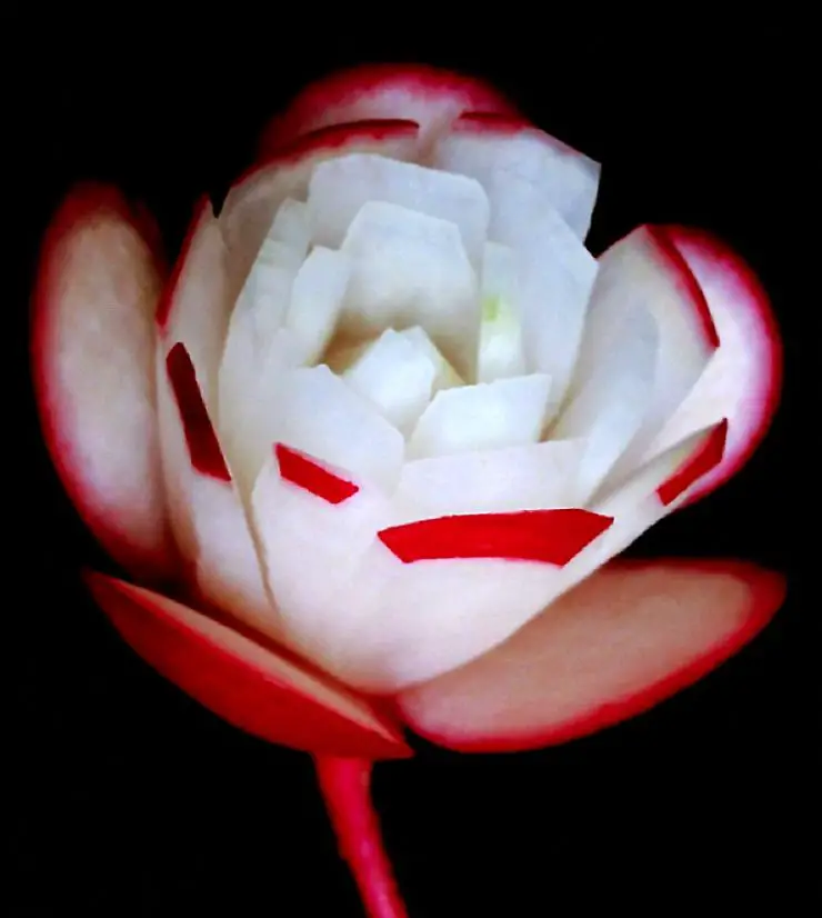 radish decorative flower