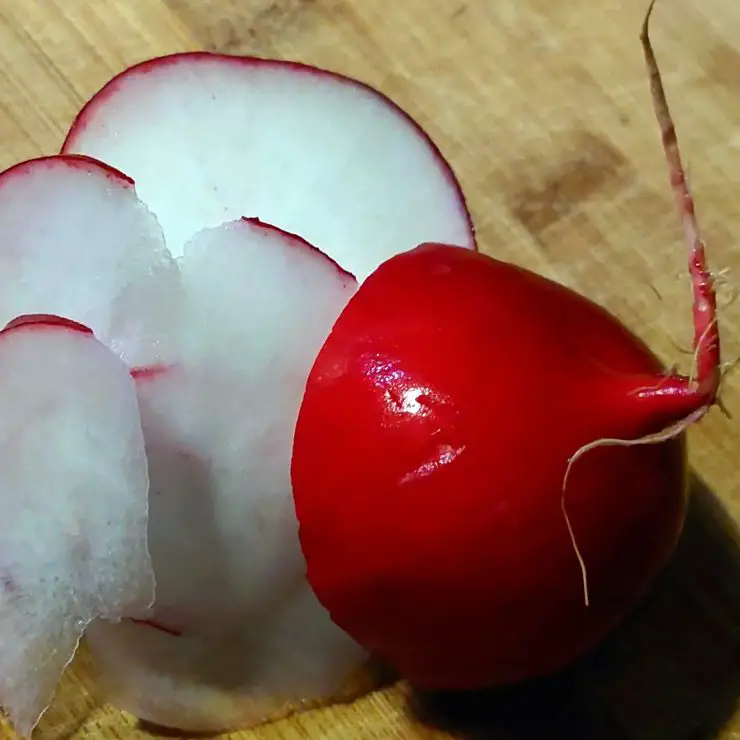 sliced red radish