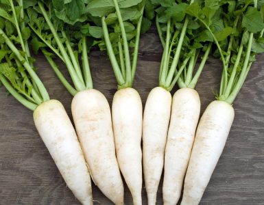 white radish health benefits and nutrition facts