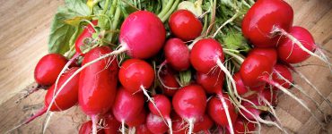 what to do with excess radishes